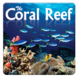 The Coral Reef (korálový útes)